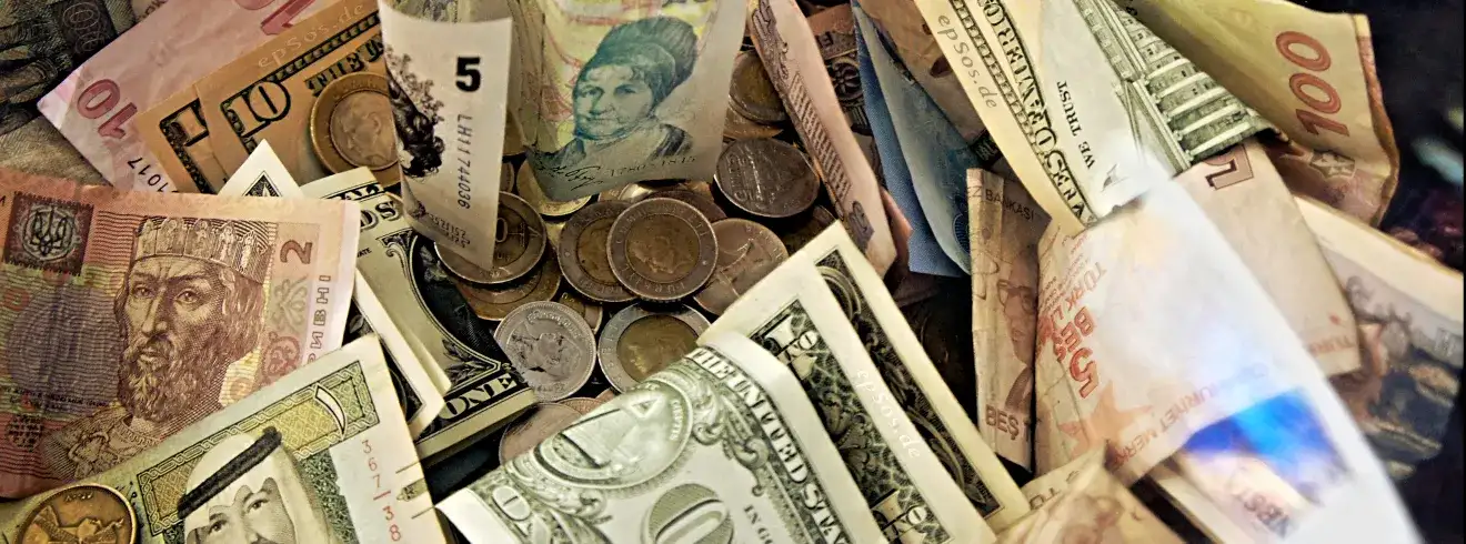 Countering Criminal Enterprises, Illicit Financial Flows, and Corrupt Practices Section Banner