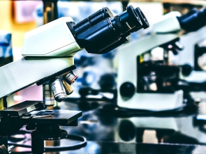 Biosecurity Initiative