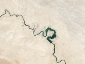 The Impact of Coronavirus on Terrorism in the Sahel