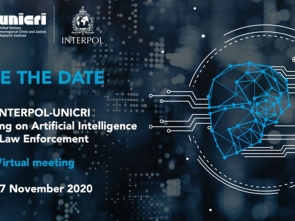 Third UNICRI INTERPOL Annual meeting