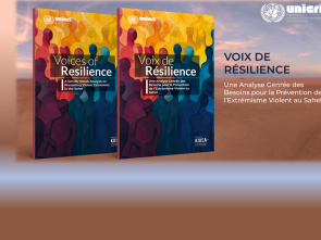 Voices of Resilience: A Gender Needs Analysis on Preventing Violent Extremism in the Sahel