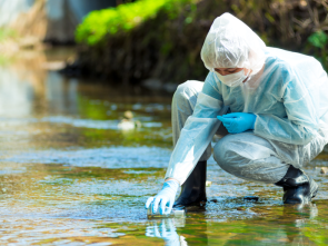 Winter Chool Environmental Crimes 2024