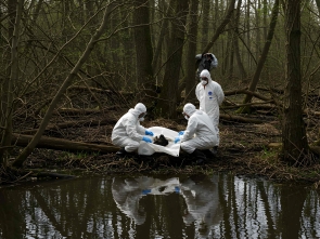 Environmental Crimes