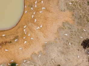New UNICRI report calls for integrated approaches to food insecurity and violent extremism