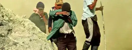 Winter School on Environmental Crimes 2022