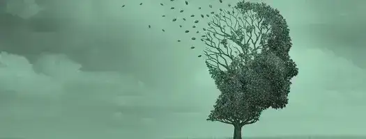 Handbook to combat CBRN disinformation