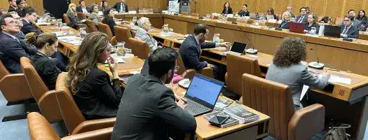 IAEA, UNICRI propose cooperation platform on using nuclear techniques to combat illicit trafficking in cultural goods