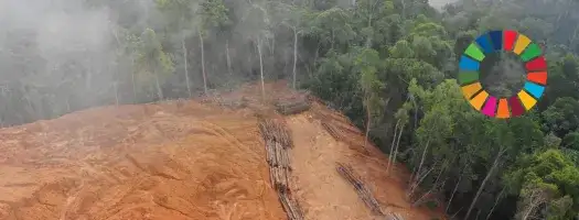 UNICRI Joins Nature Crime Alliance Amid Growing Focus on Illegal Mining