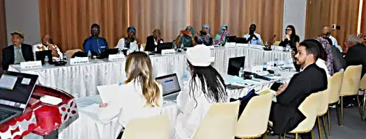 Technical Workshop: Participatory Consultation and Validation of Priority Areas Facing Climate and Violent Extremism Risks in Mauritania